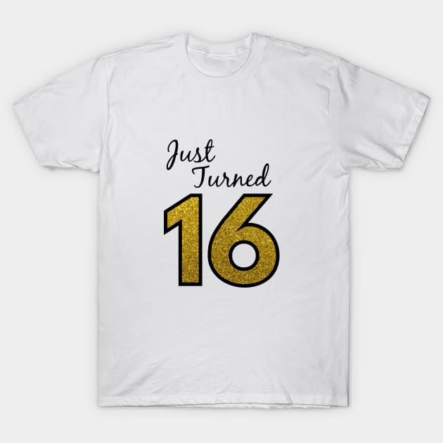 Just Turned 16 T-Shirt by MSA
